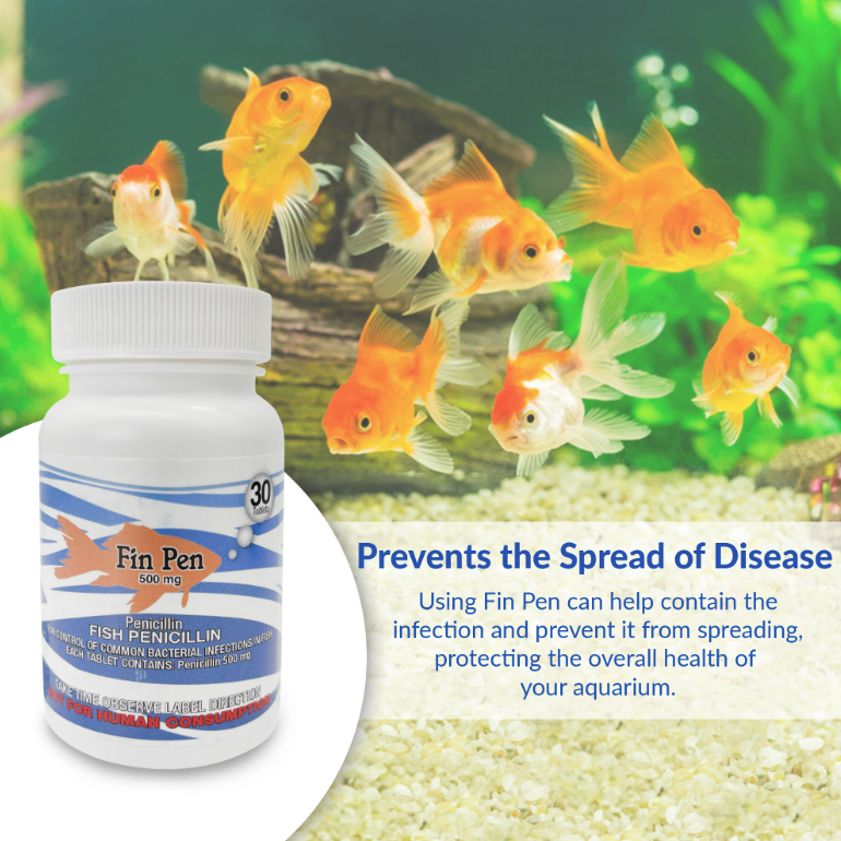 Fish Penicillin 500mg 30-Tablets