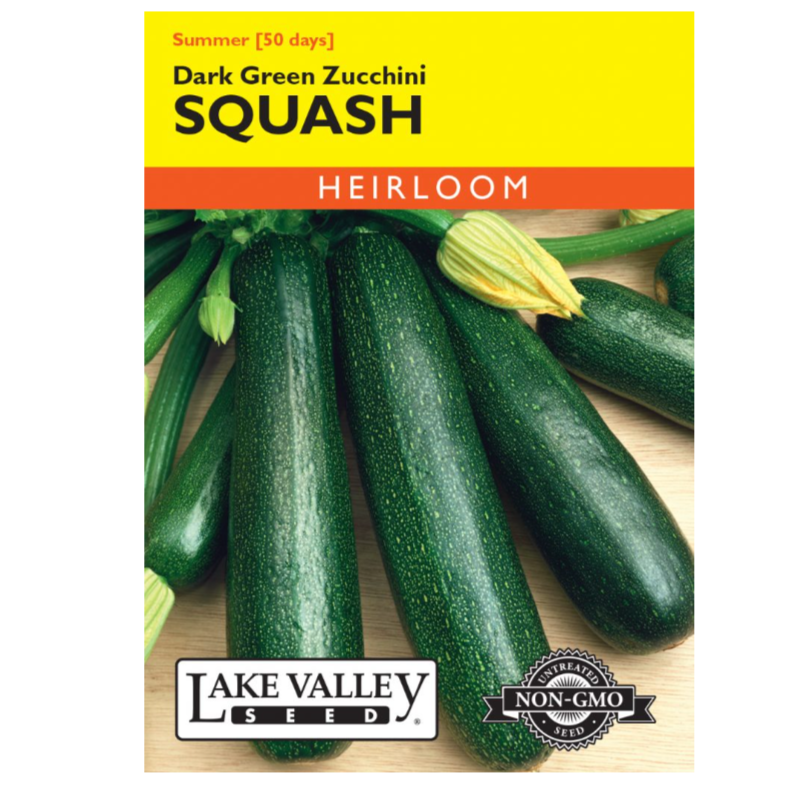 Squash Summer Zucchini Dark Green Heirloom