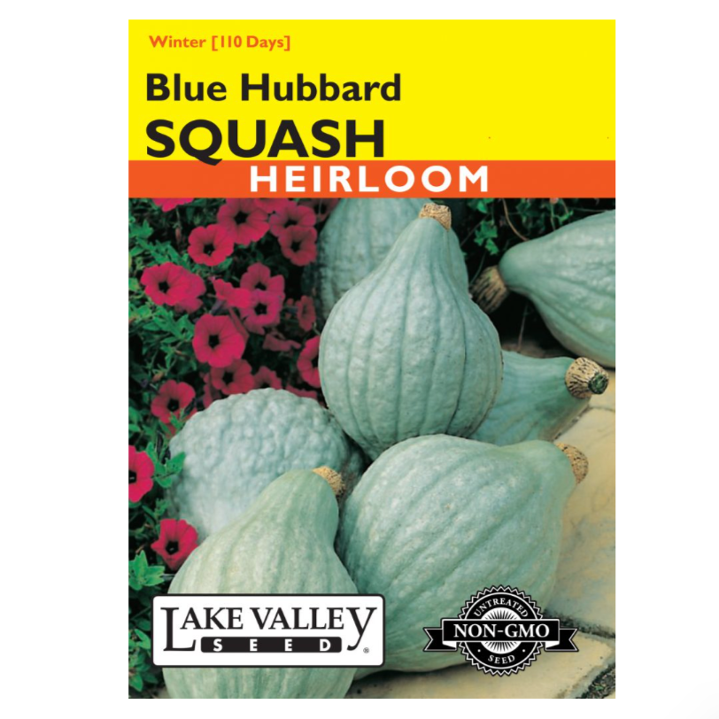 Squash Winter Blue Hubbard Heirloom