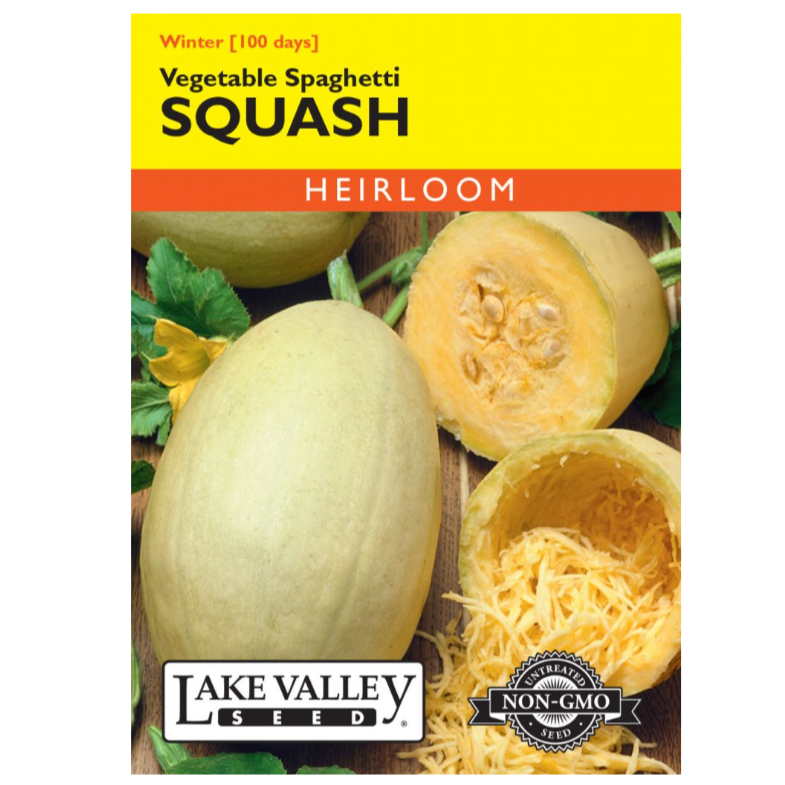 Squash Winter Vegetable Spaghetti Heirloom