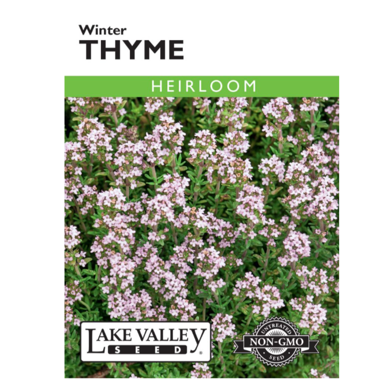 Thyme Winter Heirloom