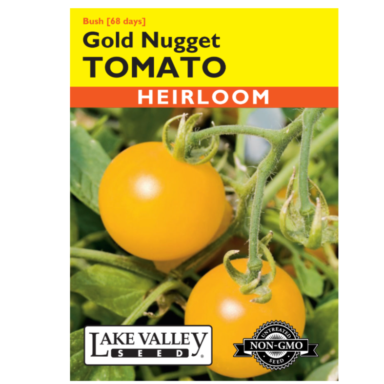 Tomato Bush Gold Nugget Heirloom