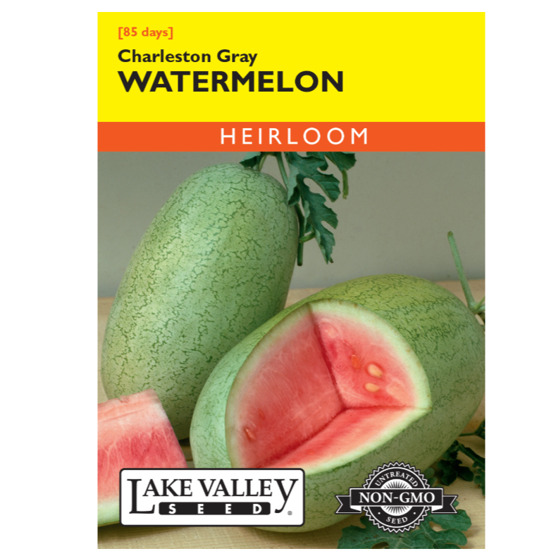 Watermelon Charleston Gray Heirloom