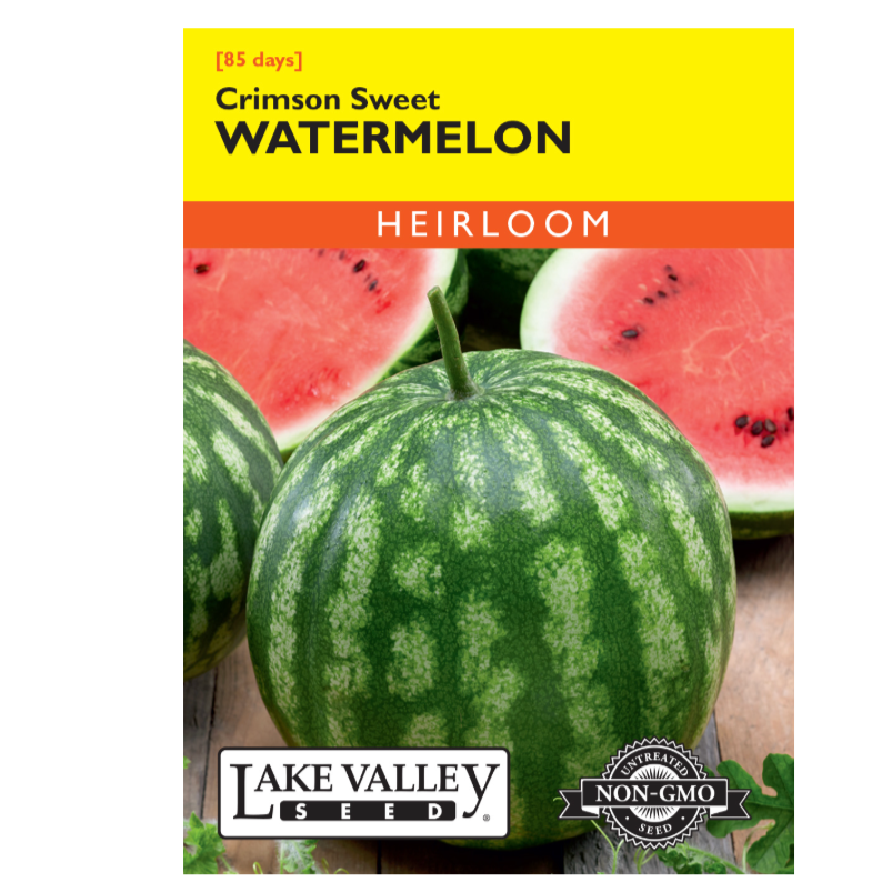 planting crimson sweet watermelon seeds Watermelon Crimson Sweet Heirloom