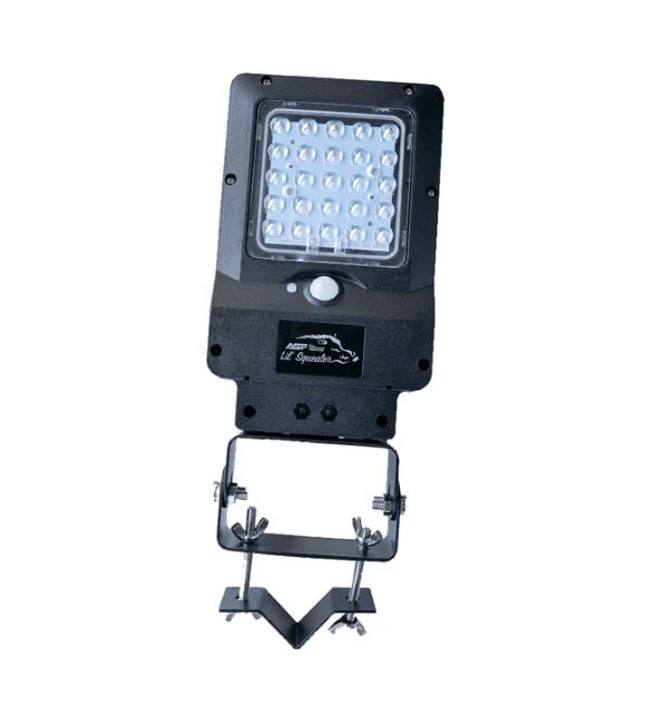 ASF Boar Light