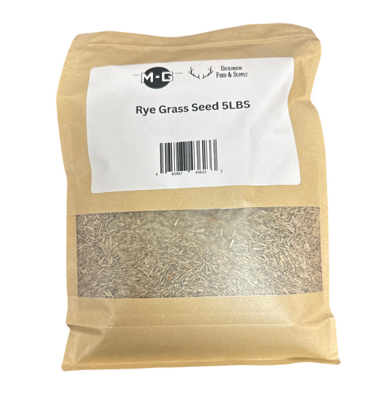 MG 5 Pound Rye Grass Seed