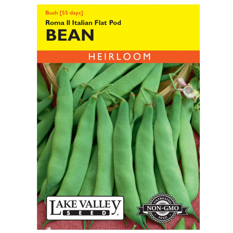 Bean Bush Roma Ii Italian Flat­pod Heirloom