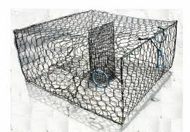 Joy Fish Crab Trap