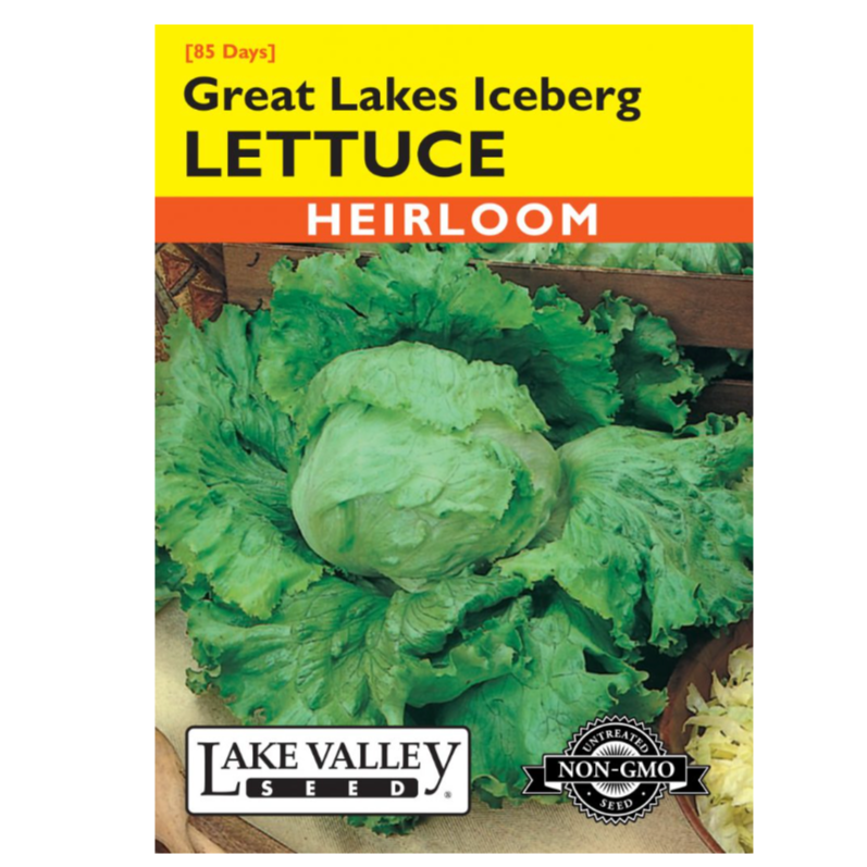 Lettuce Great Lakes Iceberg Heirloom