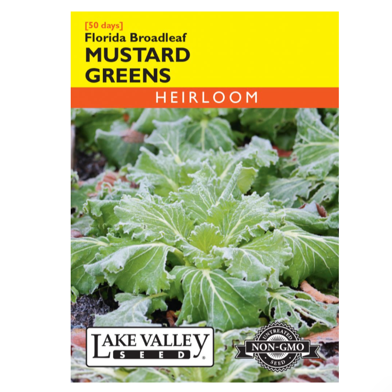 Mustard Greens Florida Broadleaf Heirloom