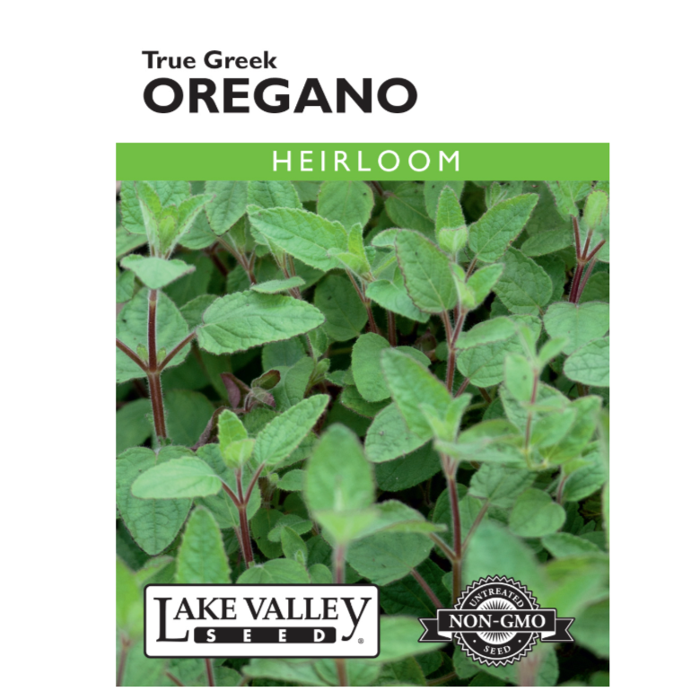Oregano True Greek Heirloom