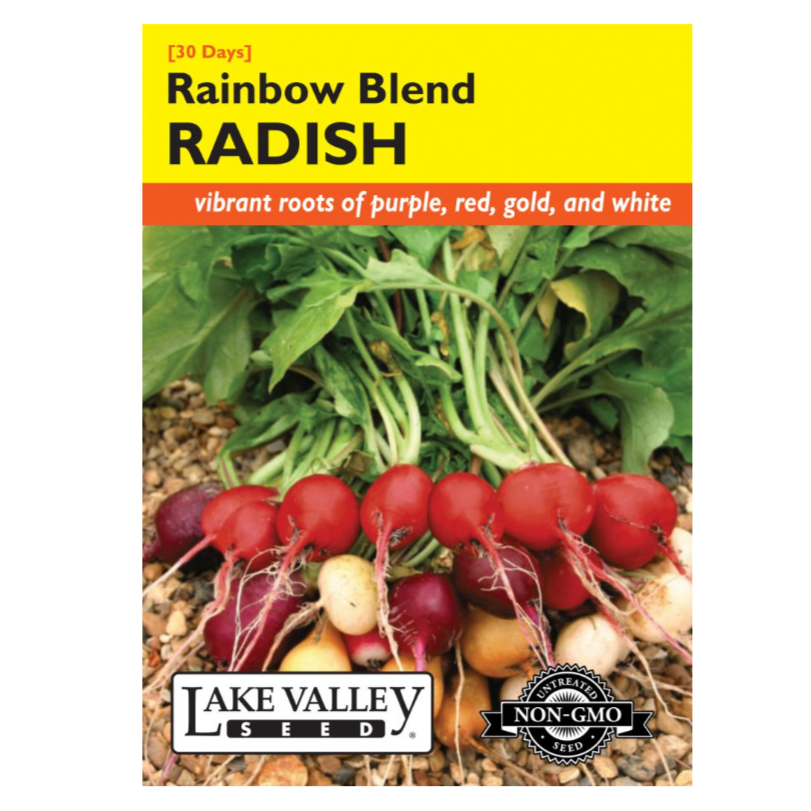 Radish Rainbow Blend