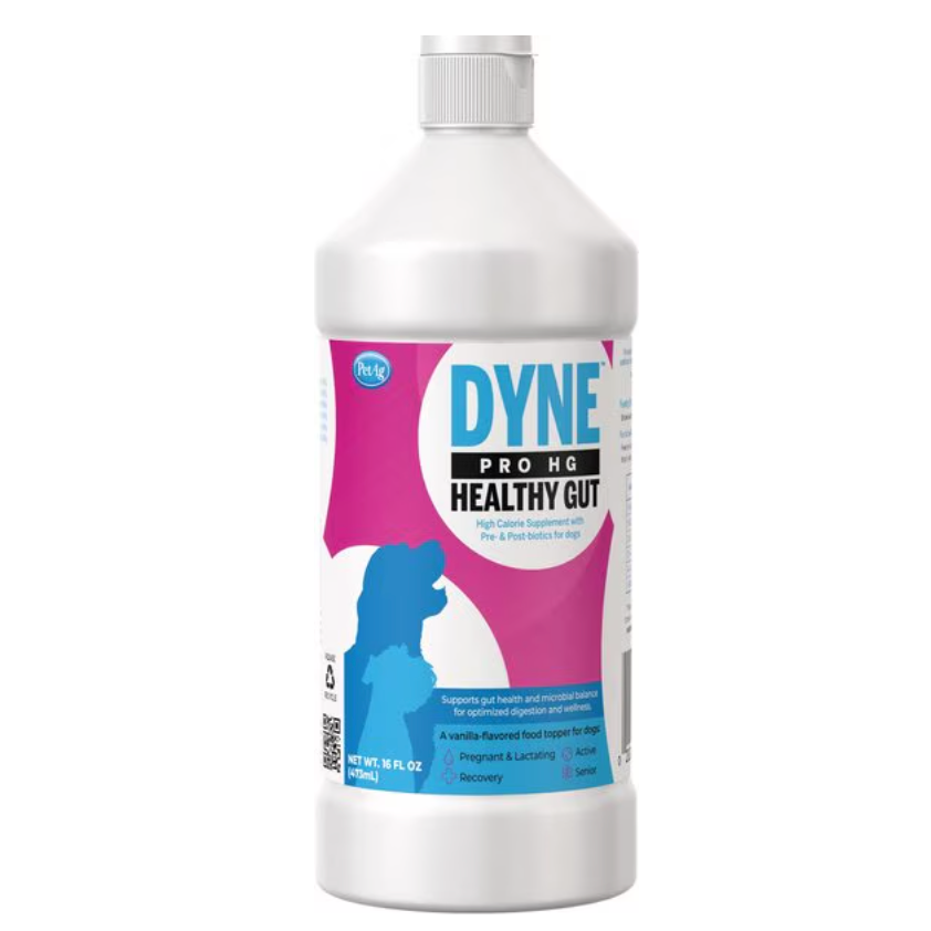 Dyne Healthy Gut