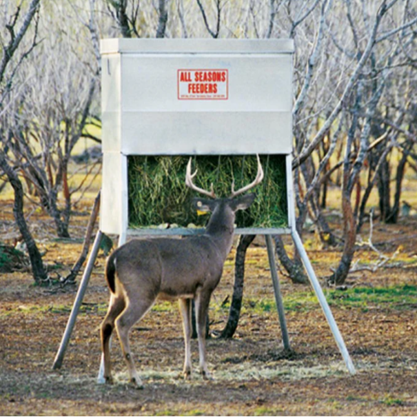 ASF Hay Feeder