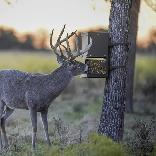 Asf EZ Deer Block Feeder