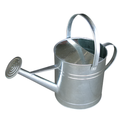 Little Giant 10qt Galv Watering Can