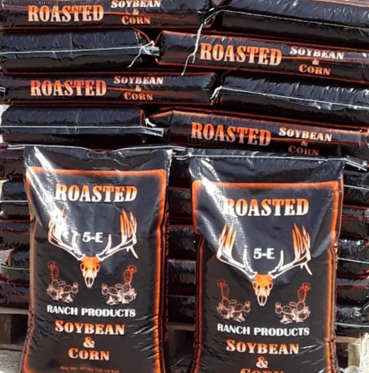 5E Roasted Soy beans and Corn