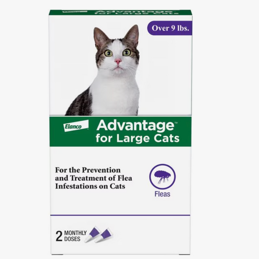 Advantage Topical Flea Prevention for Large Cats, 9 lbs+, 2-Monthly Treatments