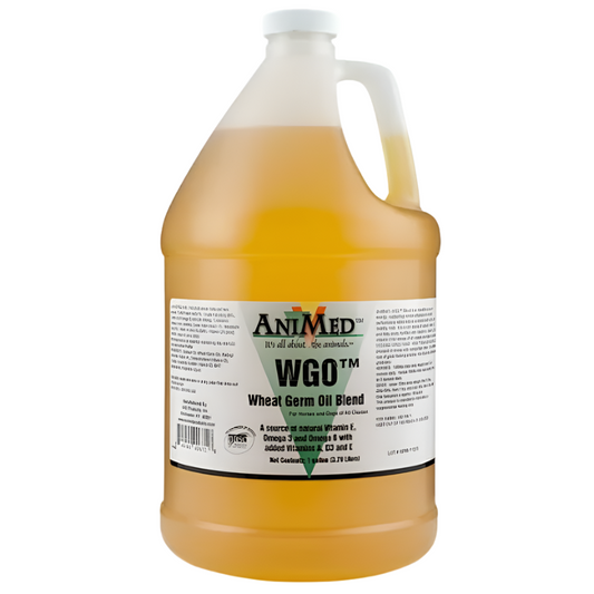 Animed Wheat Germ Oil 1 Gallon
