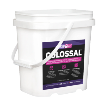 Show Rite Colossal 3LB