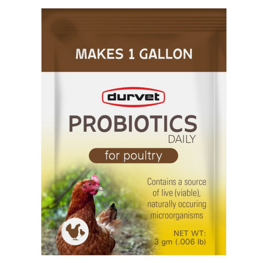 Probiotics Daily Poultry Supplement 3 Gram