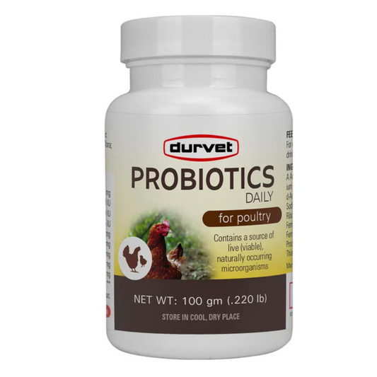 Probiotics Daily Poultry Supplement 100 Gram