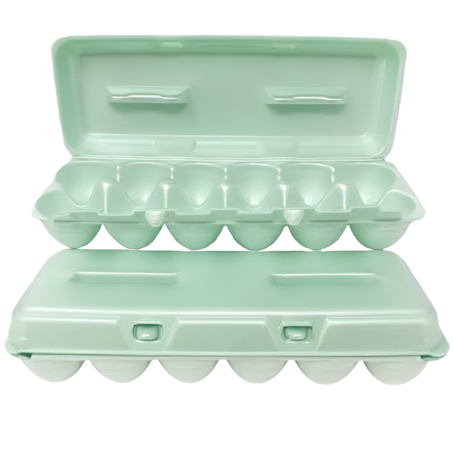 Foam Egg Cartons for Chicken Eggs Green