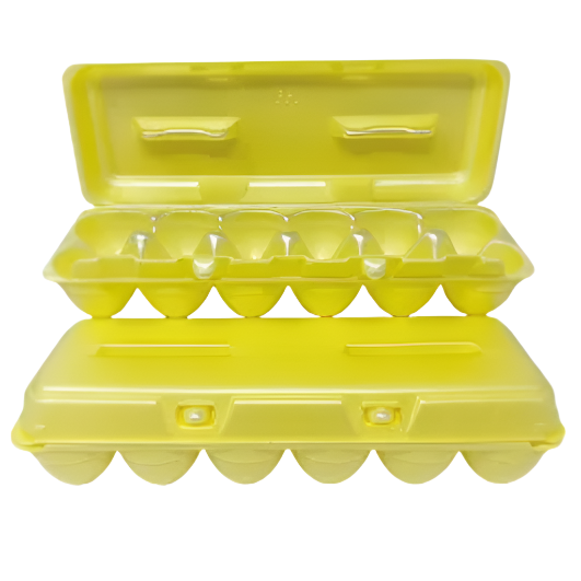 Foam Egg Cartons for Chicken Eggs Yellow