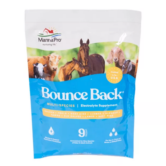 Bounce Back Electrolyte Livestock Supplement, 4 oz