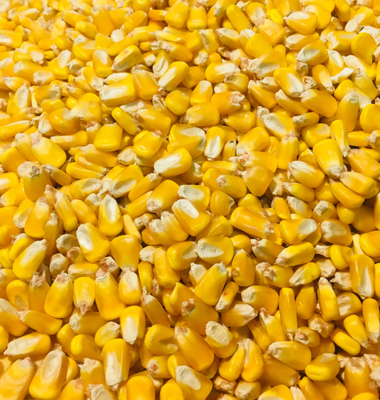 Whole Deer Corn - 50 lb Bag - STX