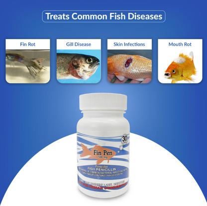 Fish medicine bottle labeled 'Fin Pen' with images of fish diseases on a blue background