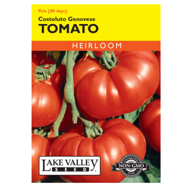 Tomato Pole Costoluto Genovese Heirloom
