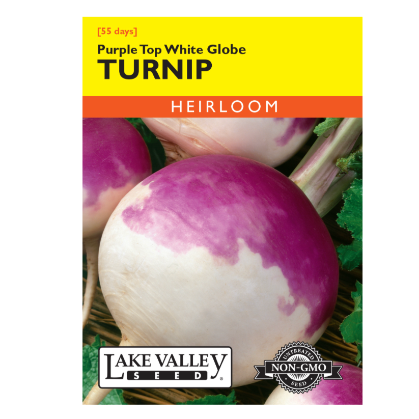 Turnip Purple Top White Globe Heirloom