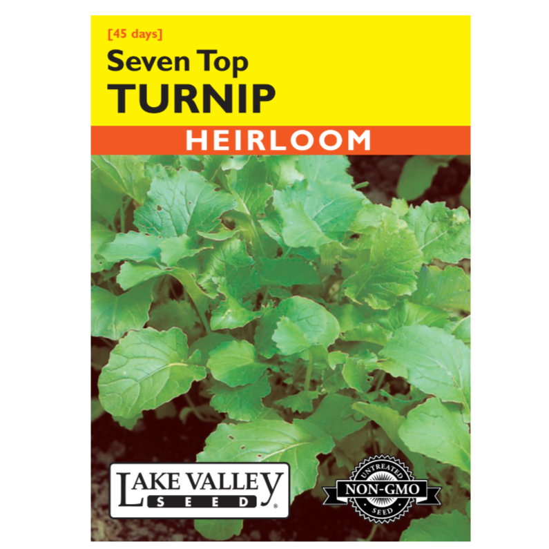 Turnip Seven Top Heirloom