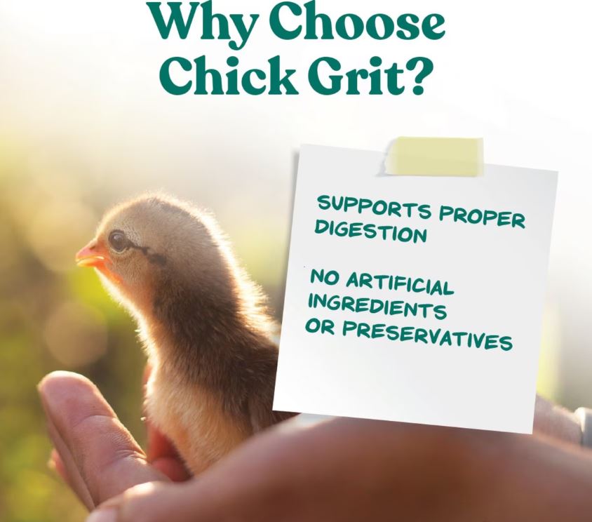 Manna Pro Chick Grit with Probiotics Chicken Food, 5-lb bag